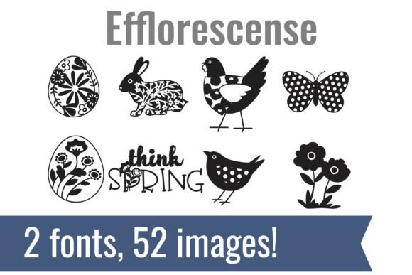 Efflorescense Dingbats: A Creative Typeface for Polished Brand Identity