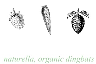 Naturella: A Natural Typeface for Organic Brand Identity