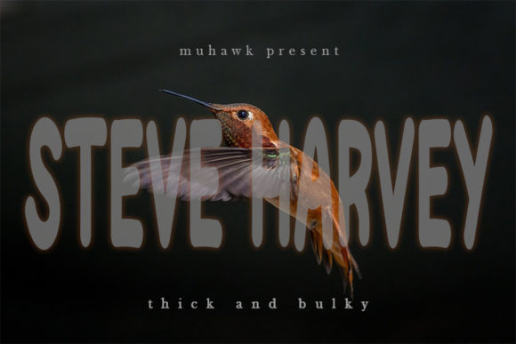Steve Harvey Typeface: Elevating Digital Brand Identity